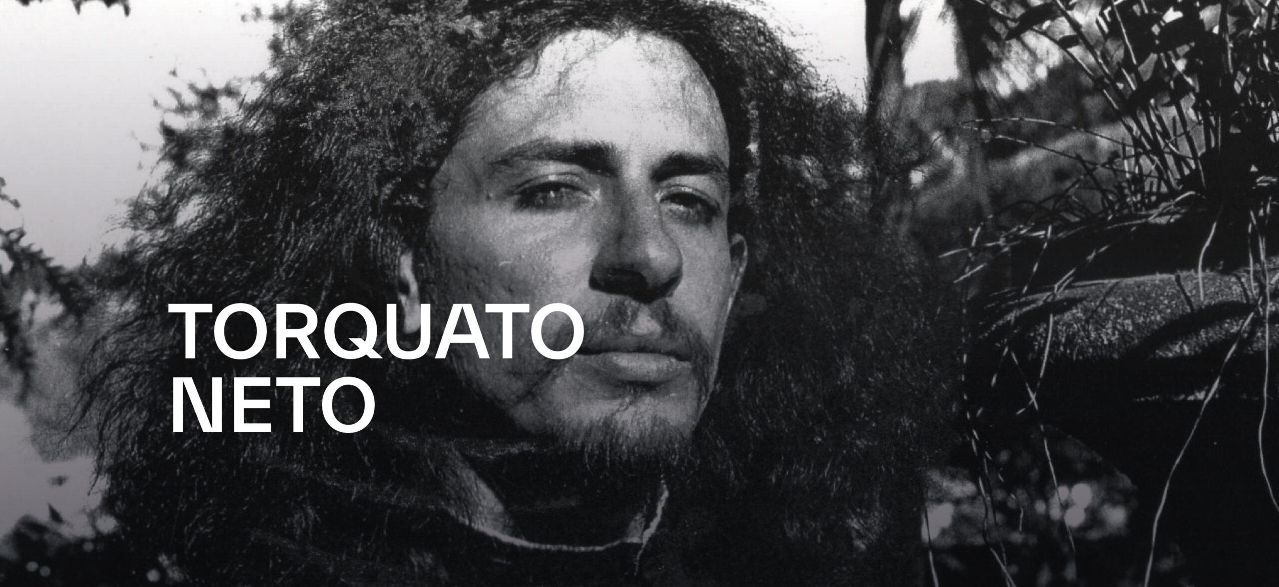 Torquato Neto Desktop scaled