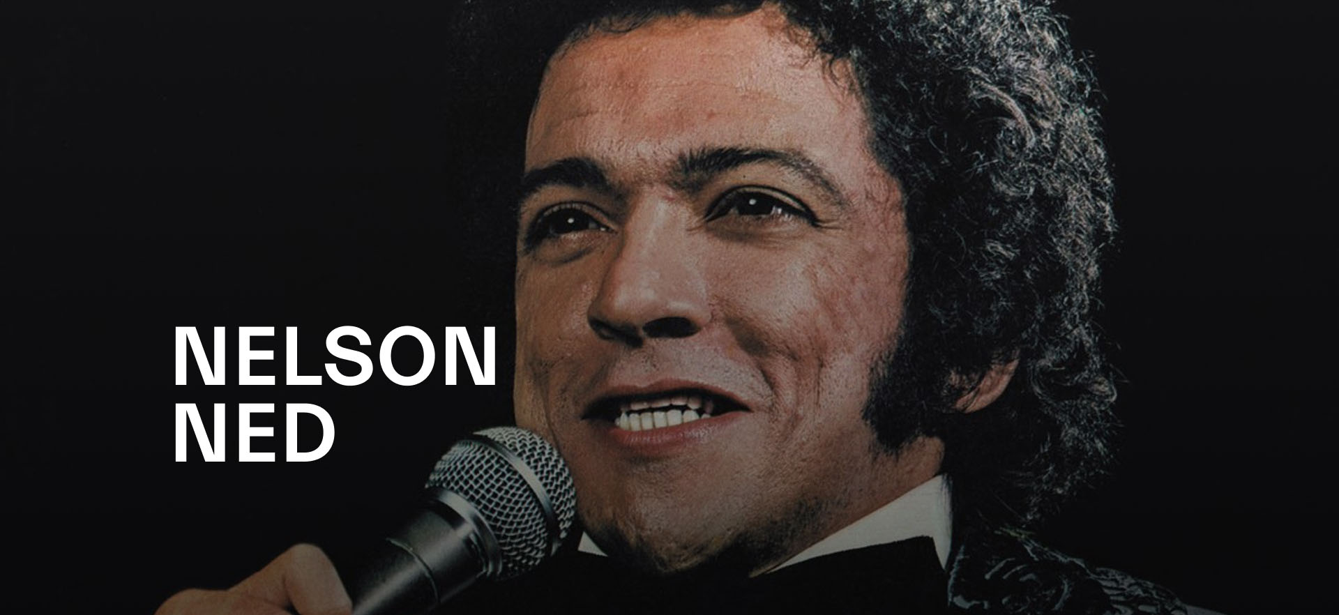 nelson ned desktop